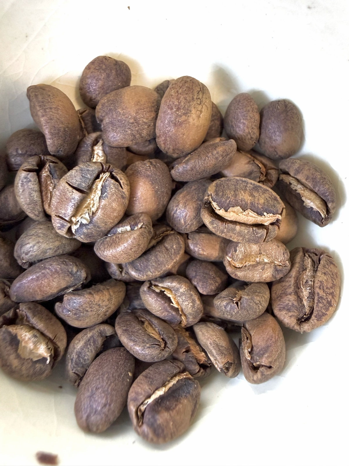 Wild Peruvian Geshas & How to Brew for Florals When the Coffee is “Too Sweet”